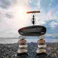 精‍确﻿算﻿法‌原​则​取‍整​